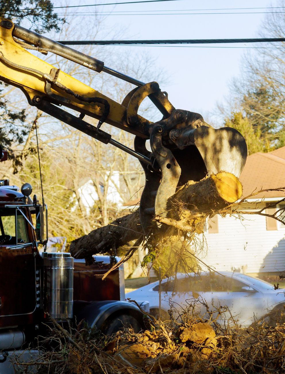 Tree care crew with professional equipment on site