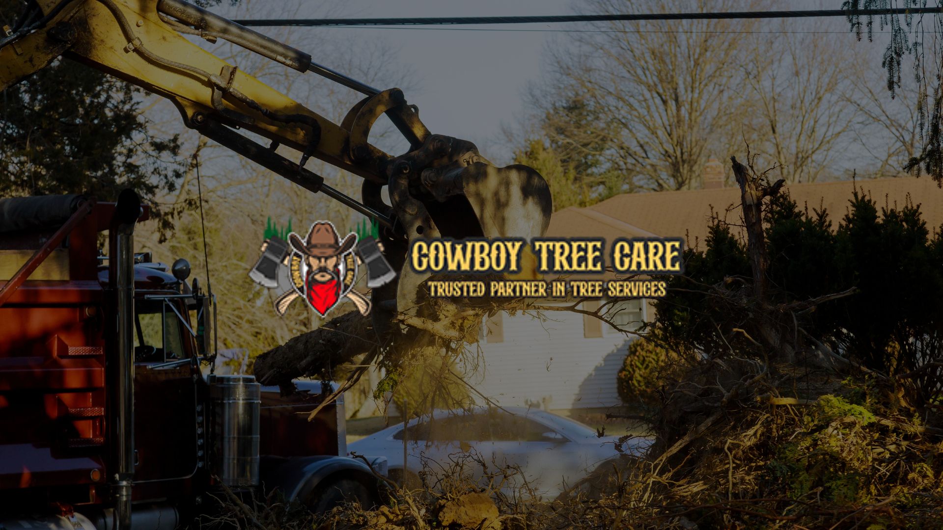 Tree removal equipment and crew preparing a large tree for safe removal