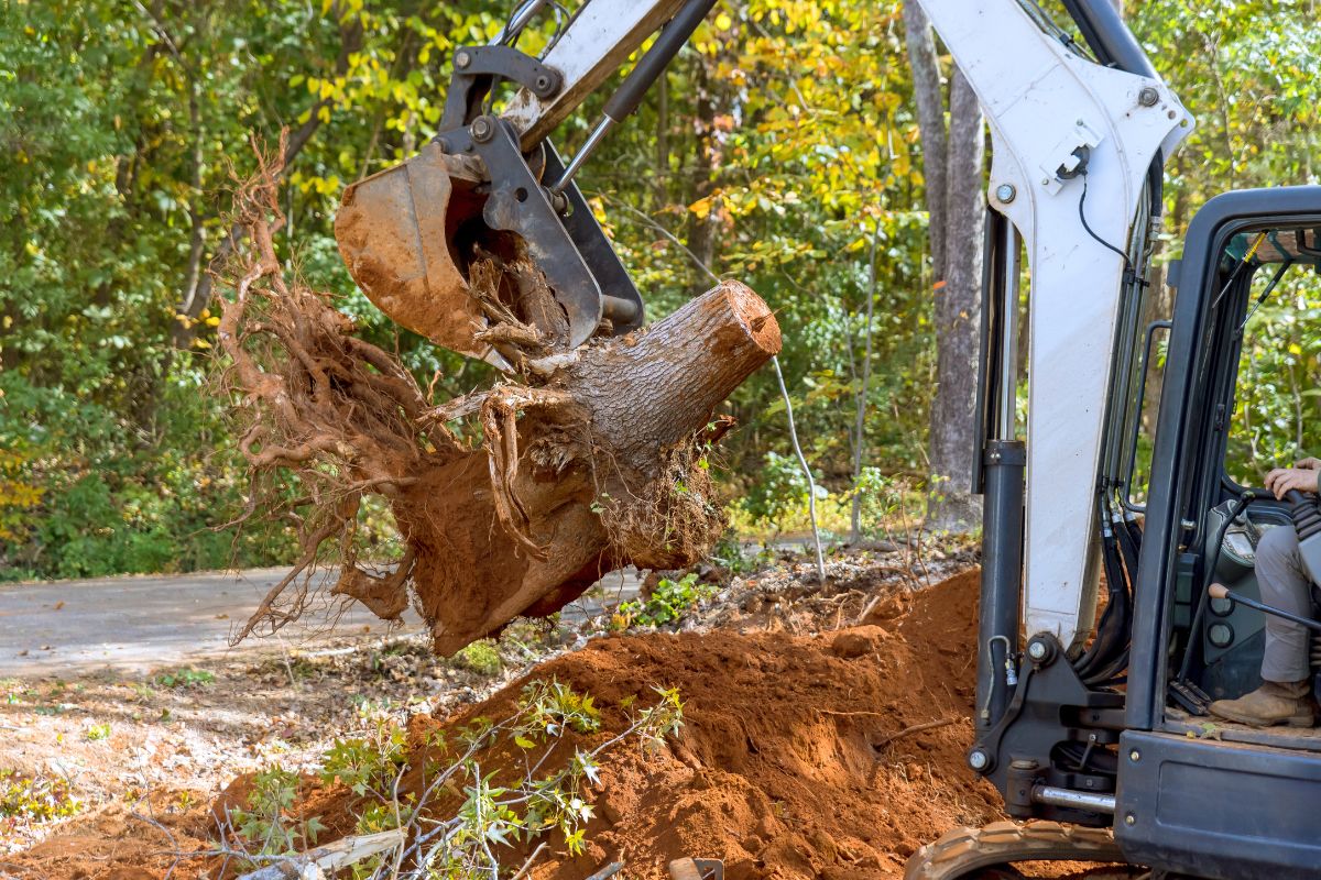Stump grinding equipment removing a tree stump