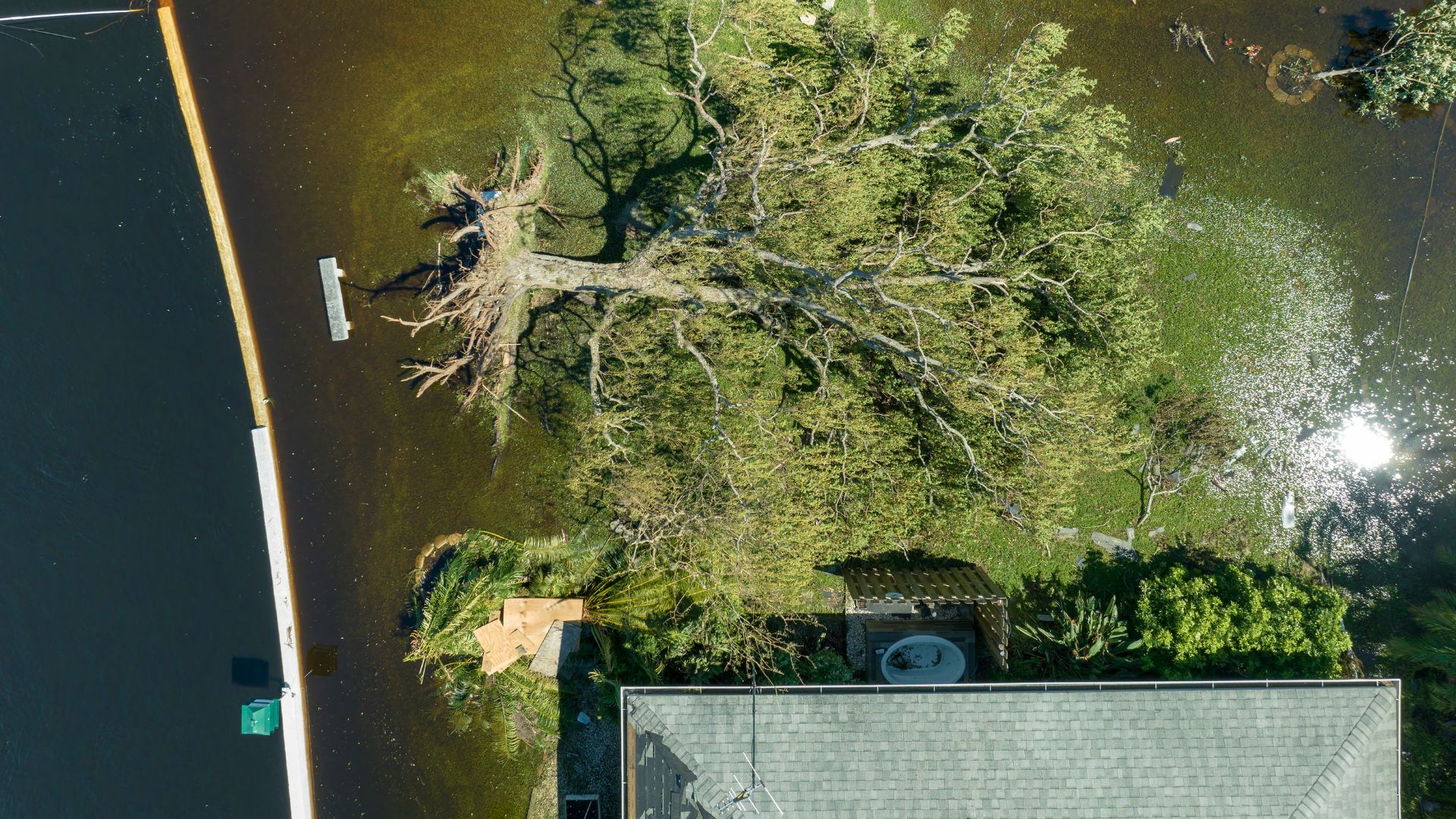 Commercial lot clearing and brush removal