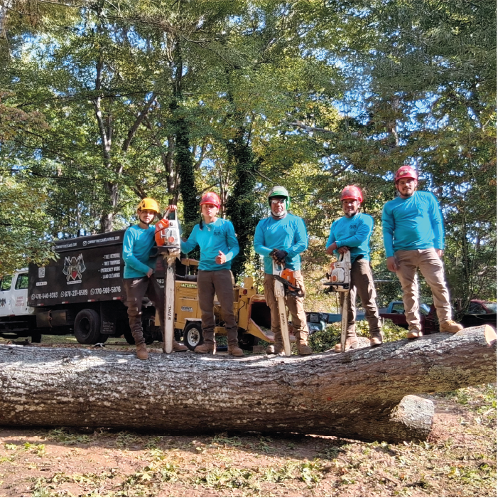 My Cowboy Tree Care team member cutting a tree branch