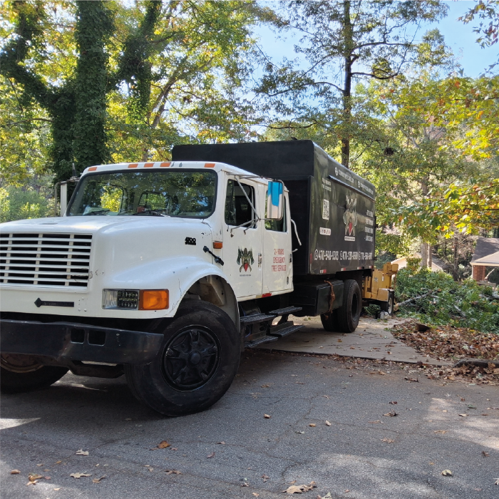 My Cowboy Tree Care team performing tree service