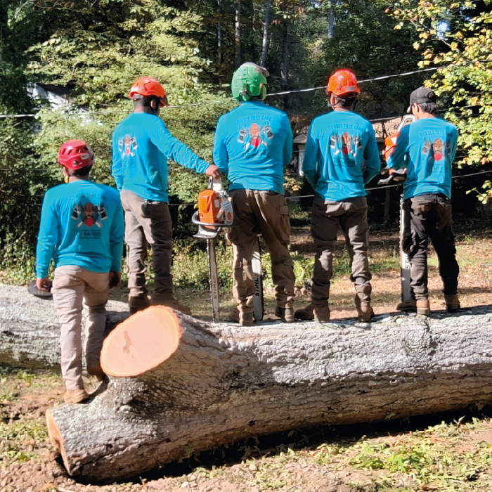 My Cowboy Tree Care crew working on site