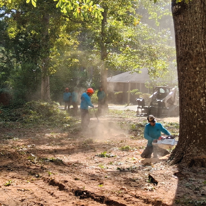 My Cowboy Tree Care equipment in action