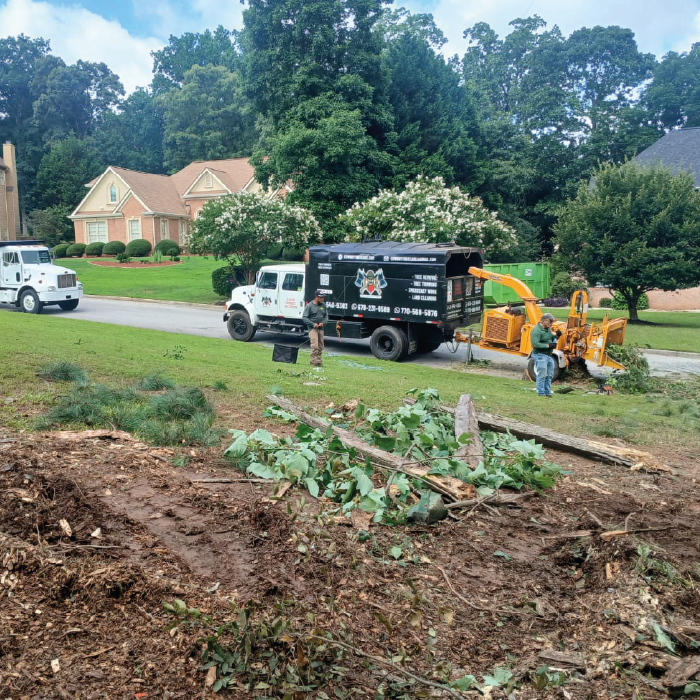 My Cowboy Tree Care certified arborist at work